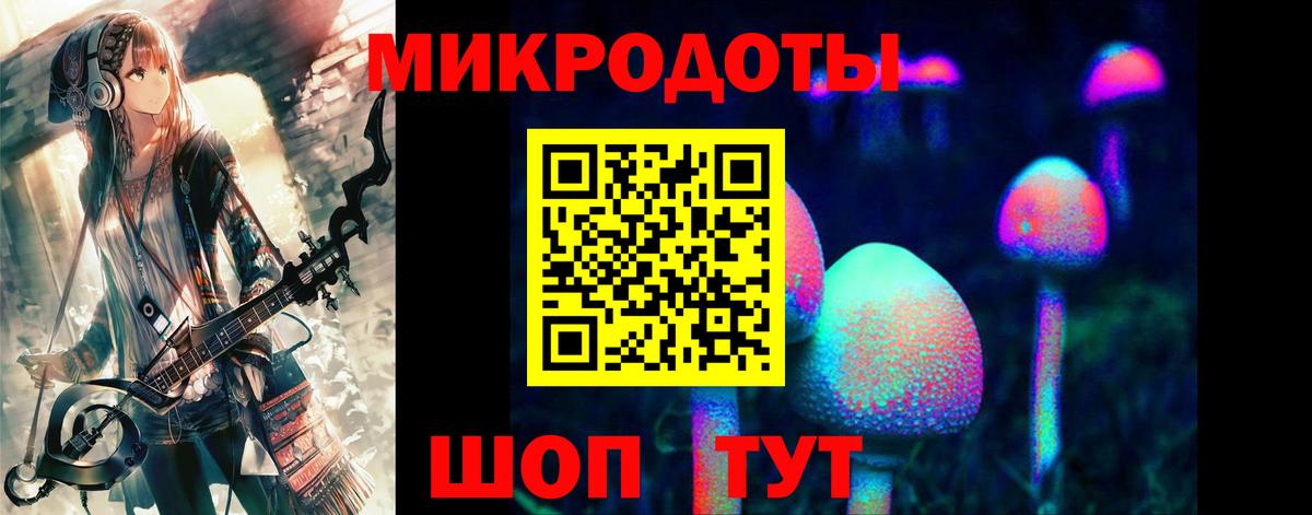 Казань  Псилоцибиновые грибы мицелий  Вход с VPN 